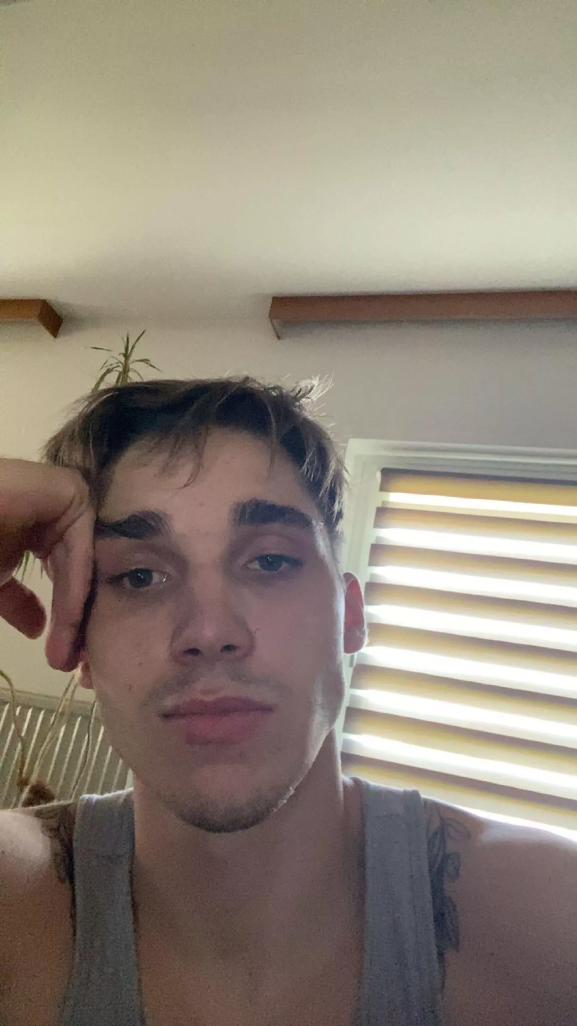 honest opinion guys posted by gollmitzertobias