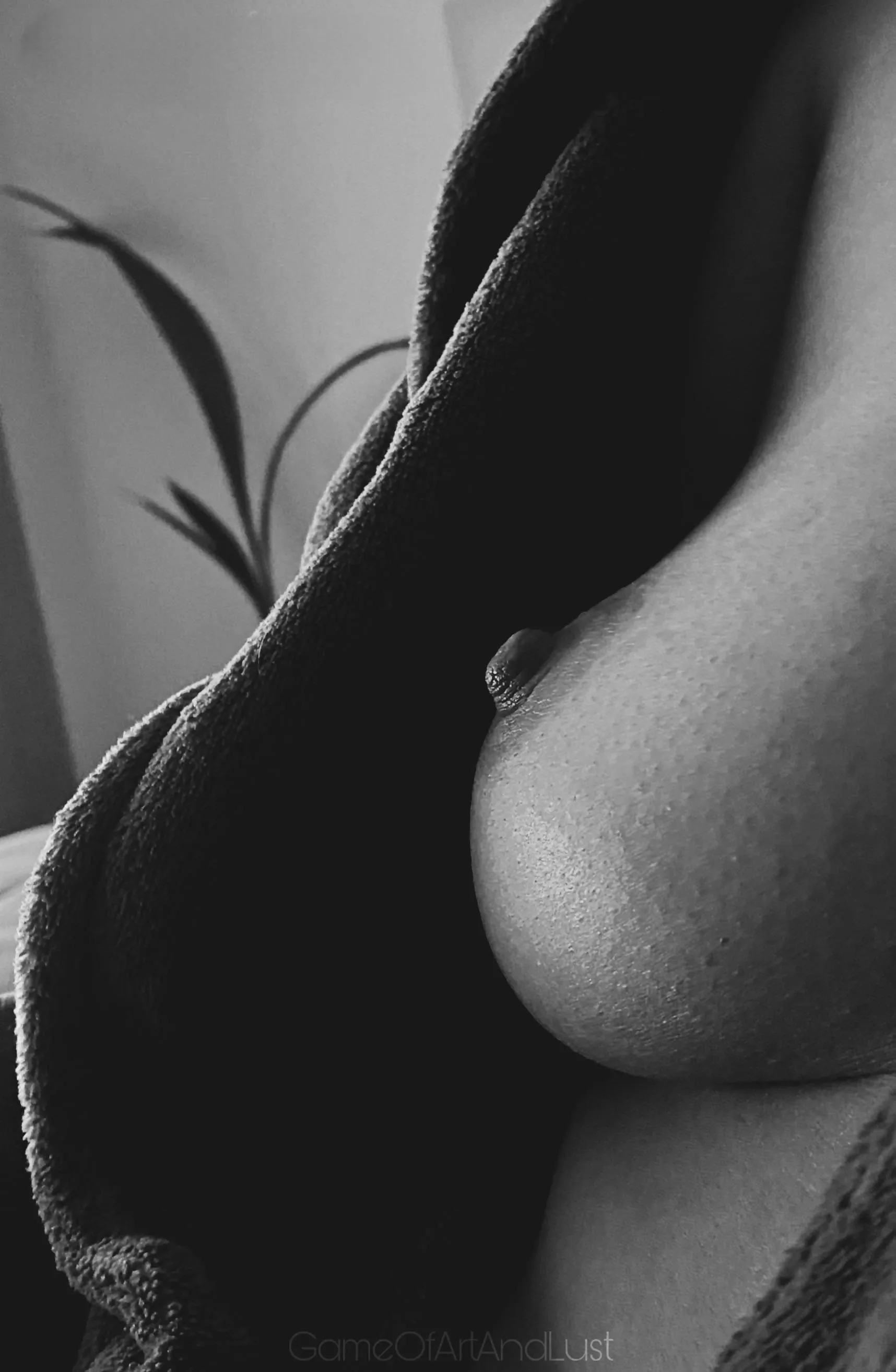 Just a peek posted by GameOfArtAndLust