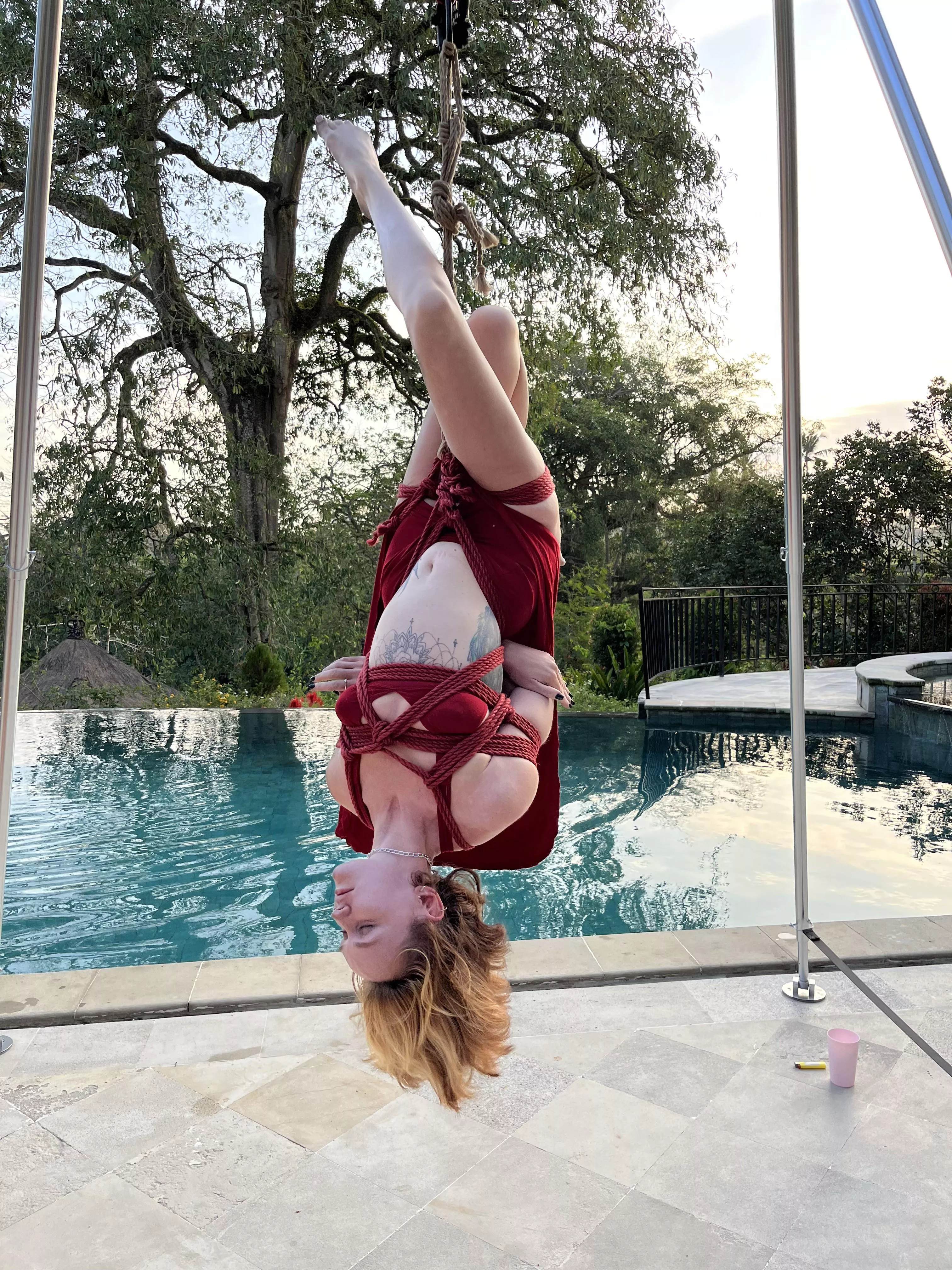 just chilling in the garden posted by lunarlilys