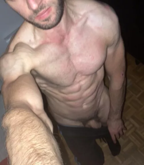 [M] Good evening by No-Bullfrog7077