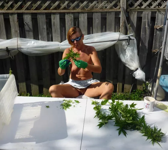 Per(f)ect Harvest Weather. by NaturallyRed1