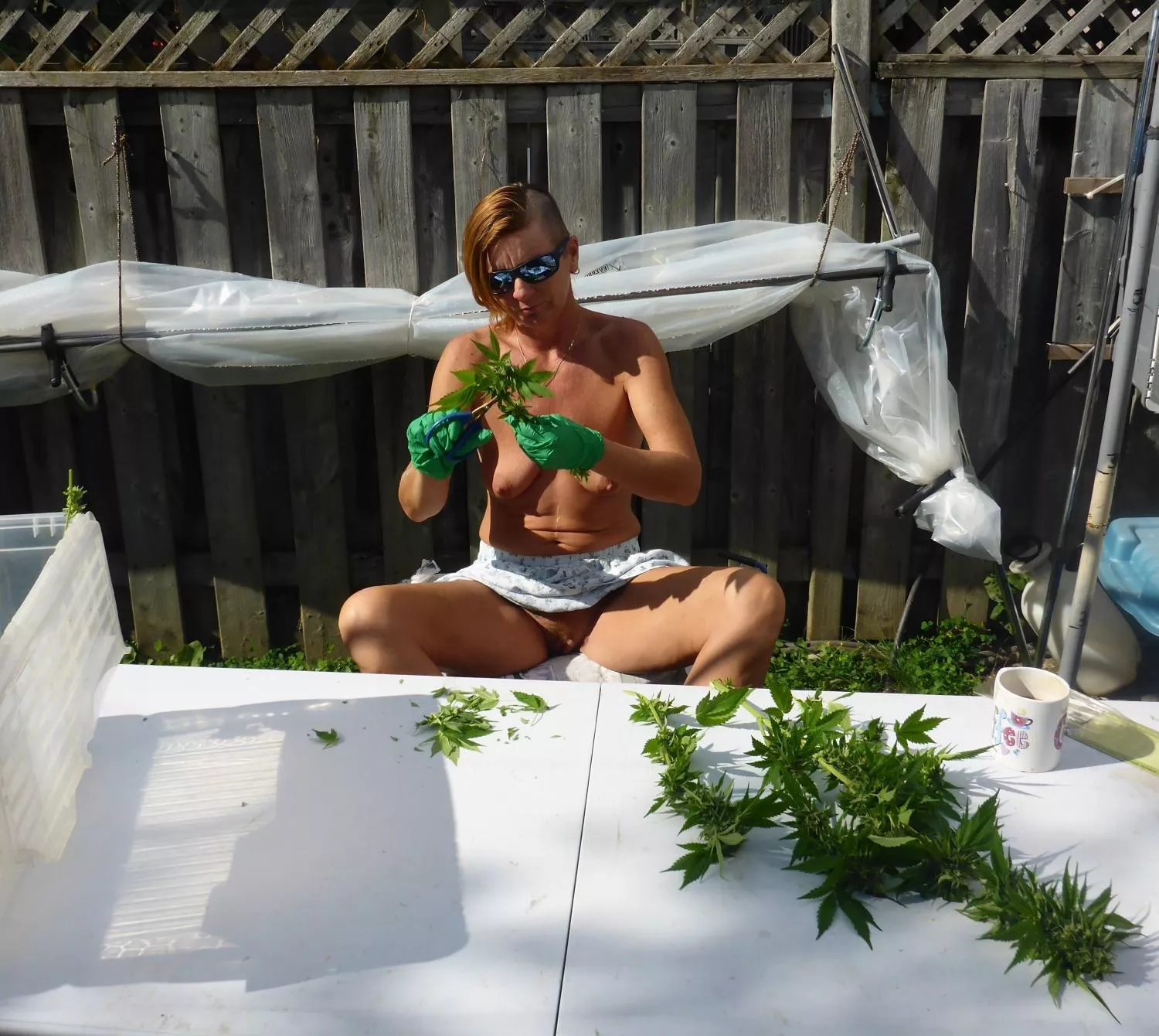 Per(f)ect Harvest Weather. posted by NaturallyRed1