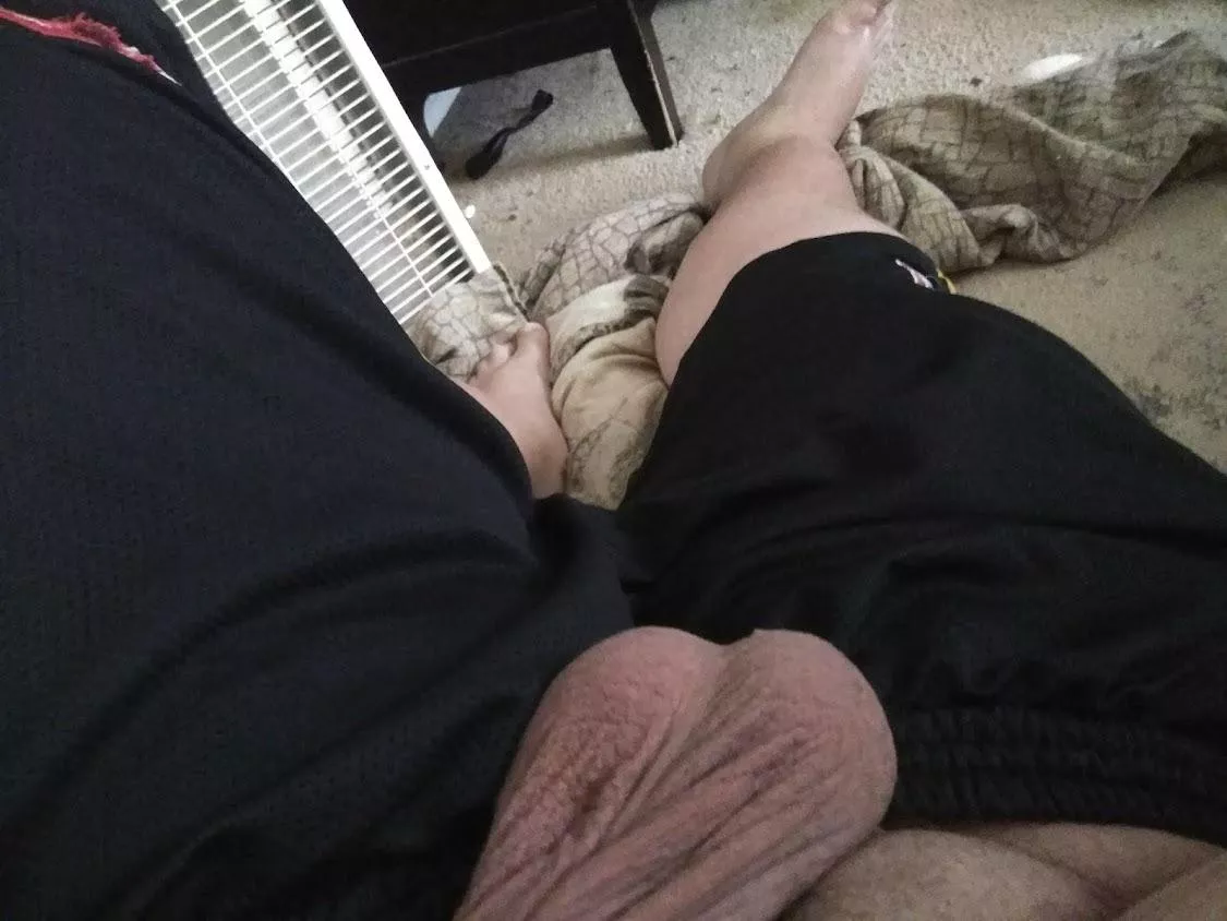 She said my balls was small posted by LividElephant6537