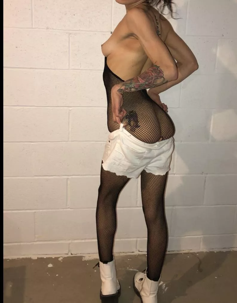 They’re tiny but they still like attention :) posted by lilpuddycat69