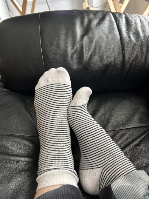 Want a sniff? by temptationtoes24