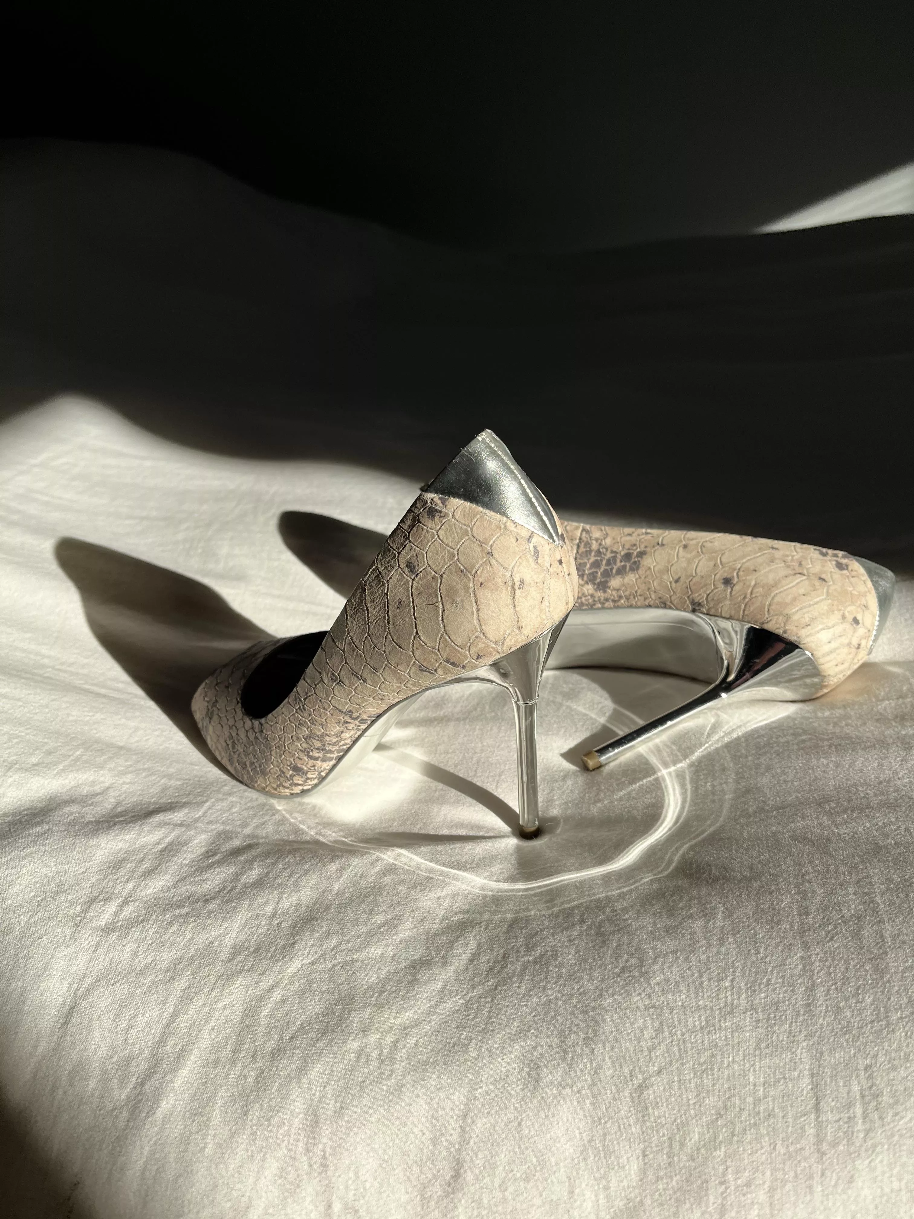 Who is a Sam Eddie fan? I love these do u!? posted by mizzKITTENkitten