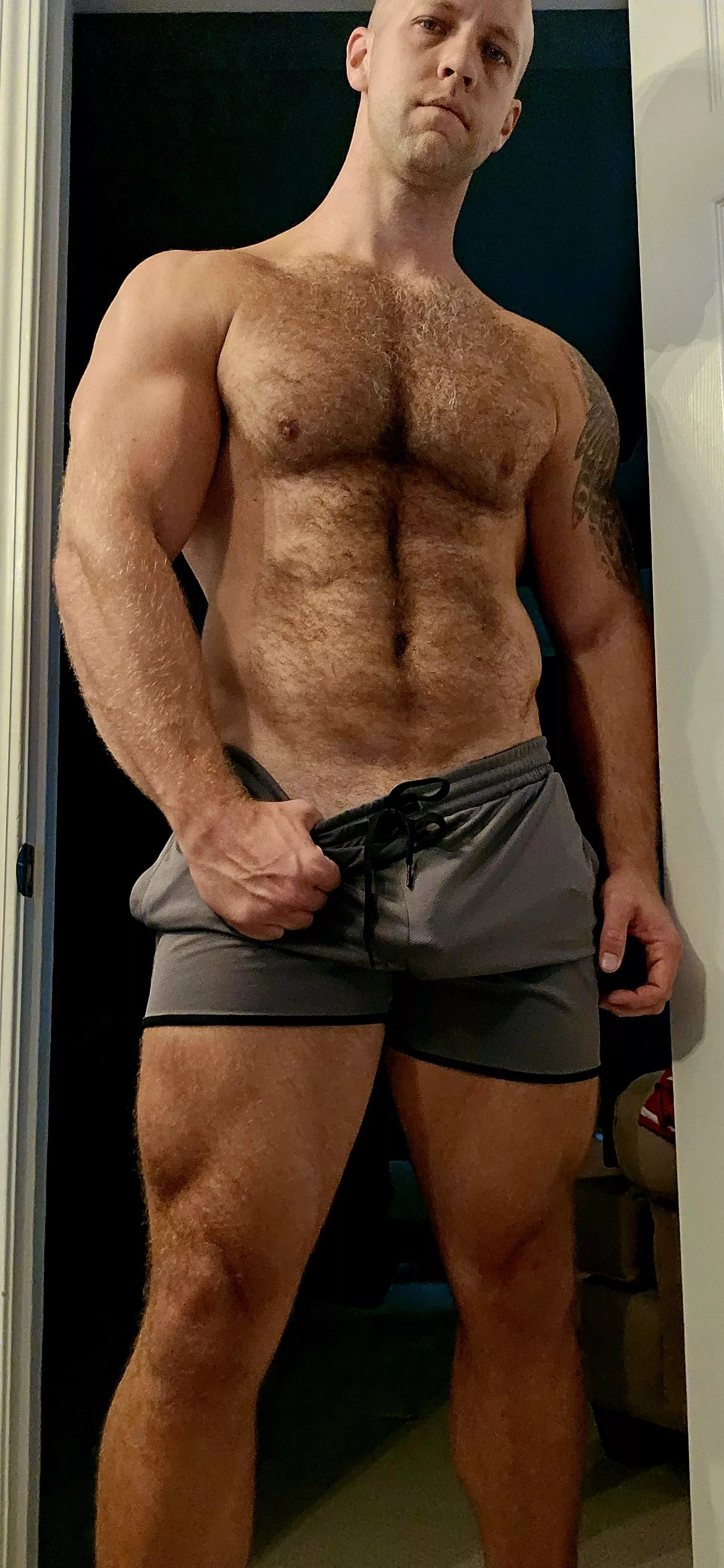 Would you like to feel my hairy chest? posted by eaglewatcher88