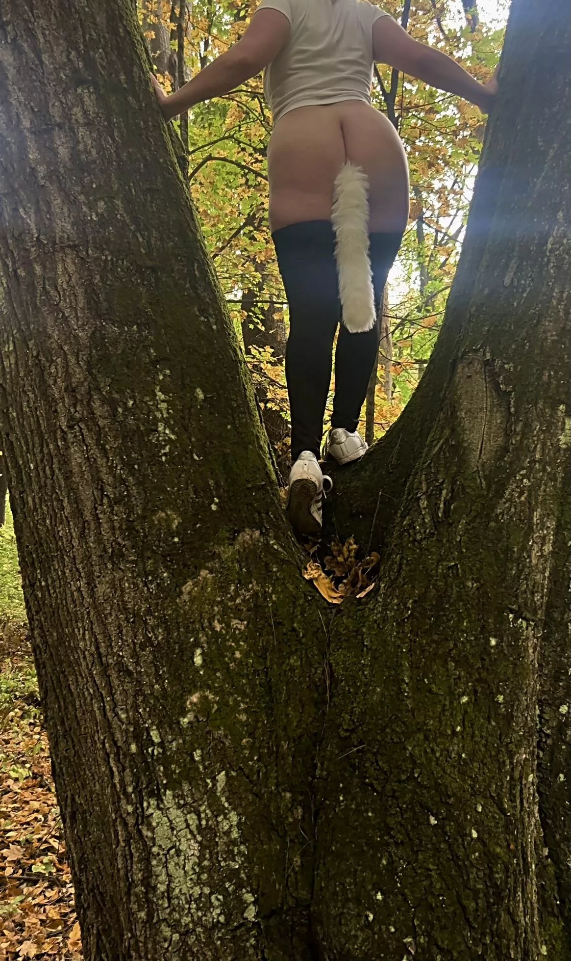 Agile little fox! posted by StayHomeSlut69