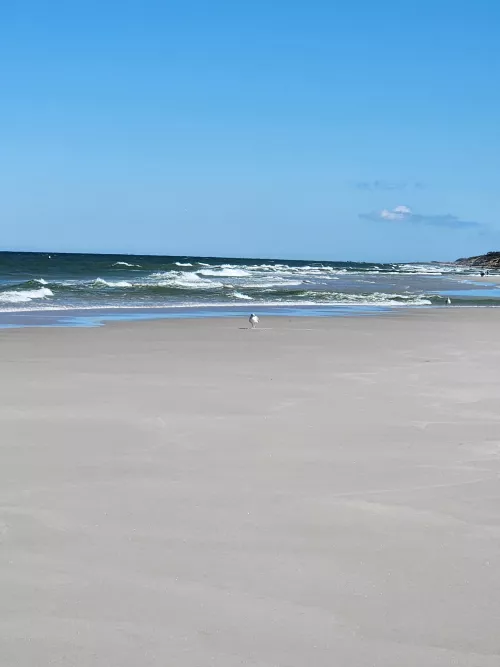 Cape Cod by Intelligent-Cable-43