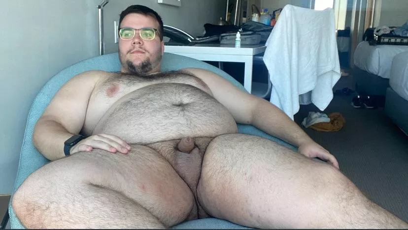 Chubby bear lounging by jkubthecub