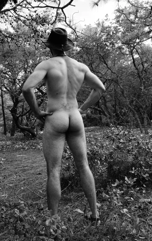 Cockodile Dundee by curiousandquiet