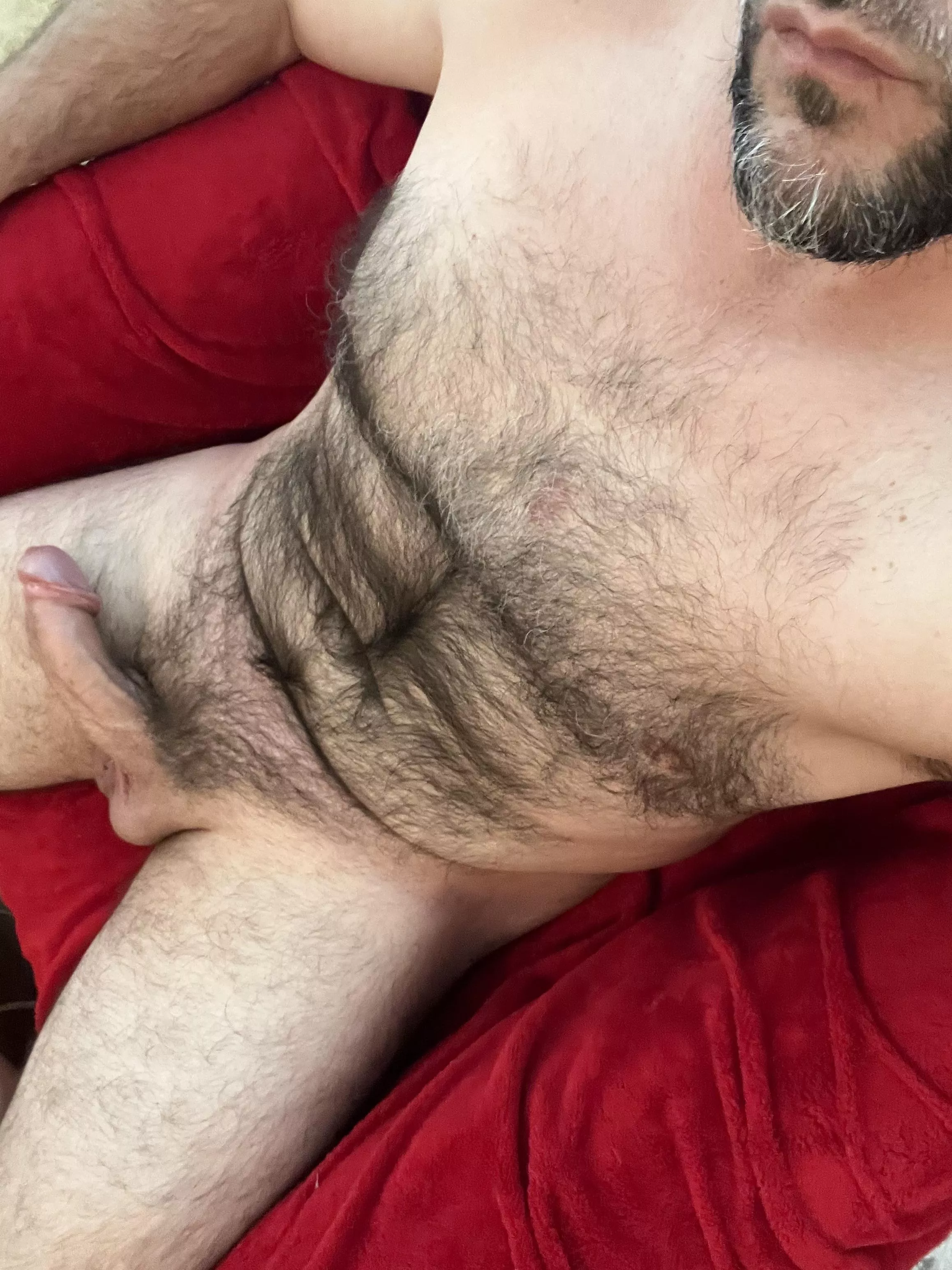 Hello, my people posted by DobiesSecretSock