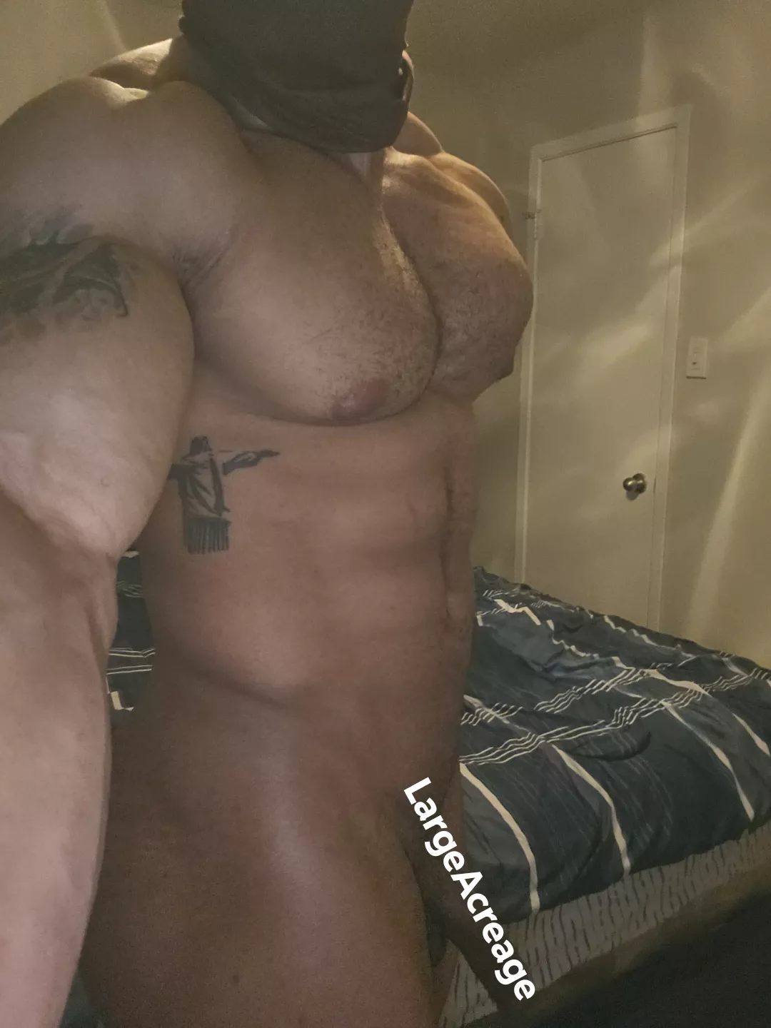 I'll make you submit posted by LargeAcreage