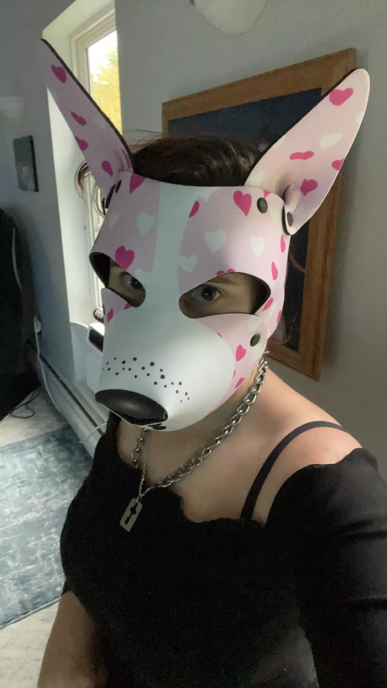 Just got a new hood! 🩷 posted by H3llpup