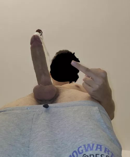 Submit slut by Enough_Routine2723