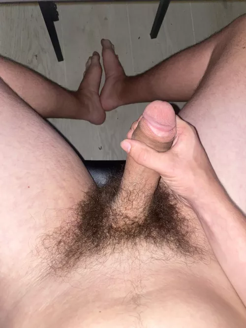 Untamed bush. by CarpenterSea3329