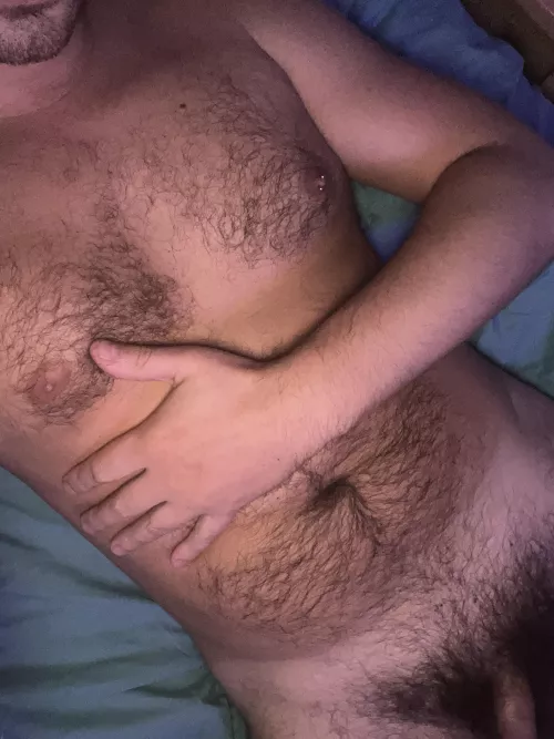 Who loves this bush by Hrpl85