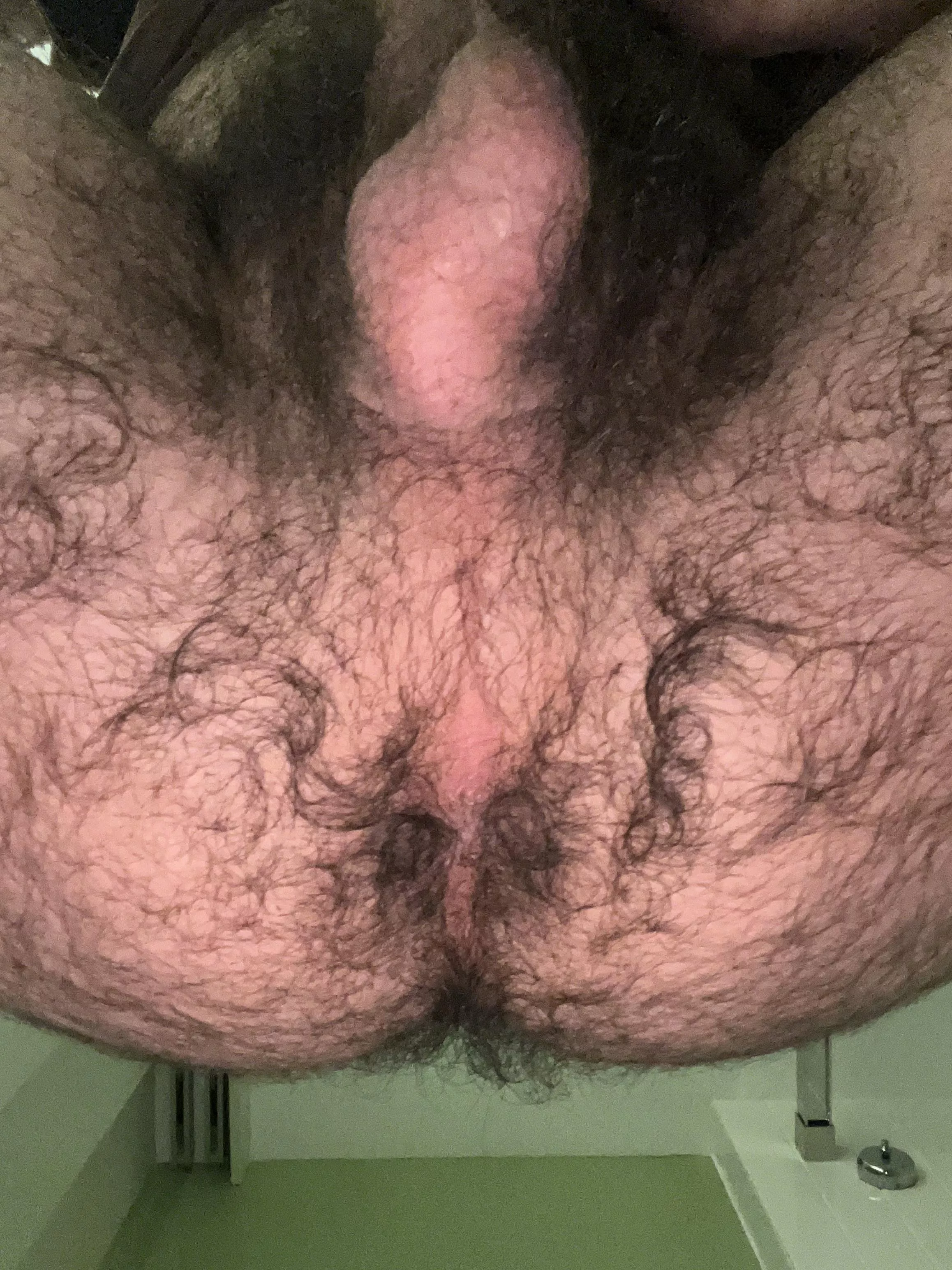 You like the hair? posted by Deep_Background_4213