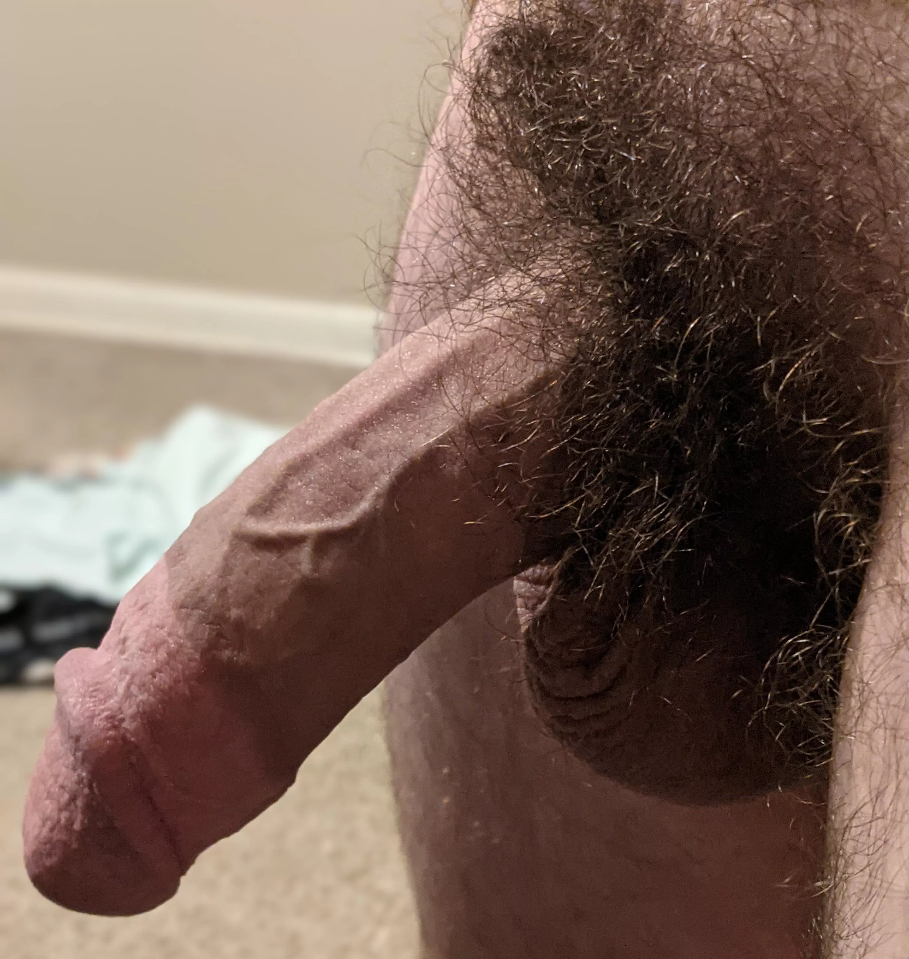 30m bush selfie posted by hairylimited