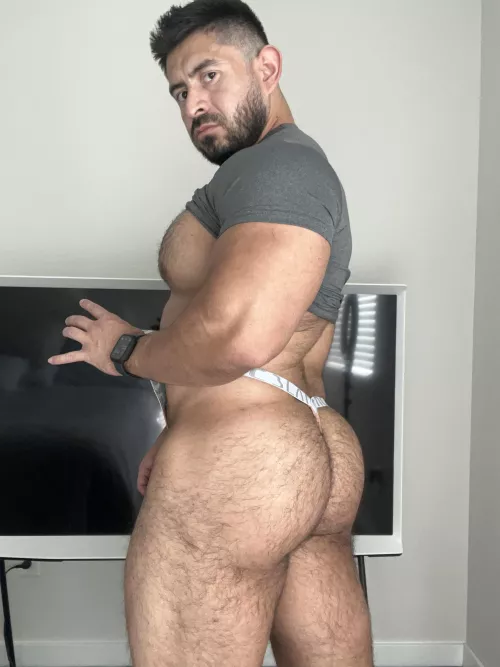 35 year old daddy bear by mateomuscle69