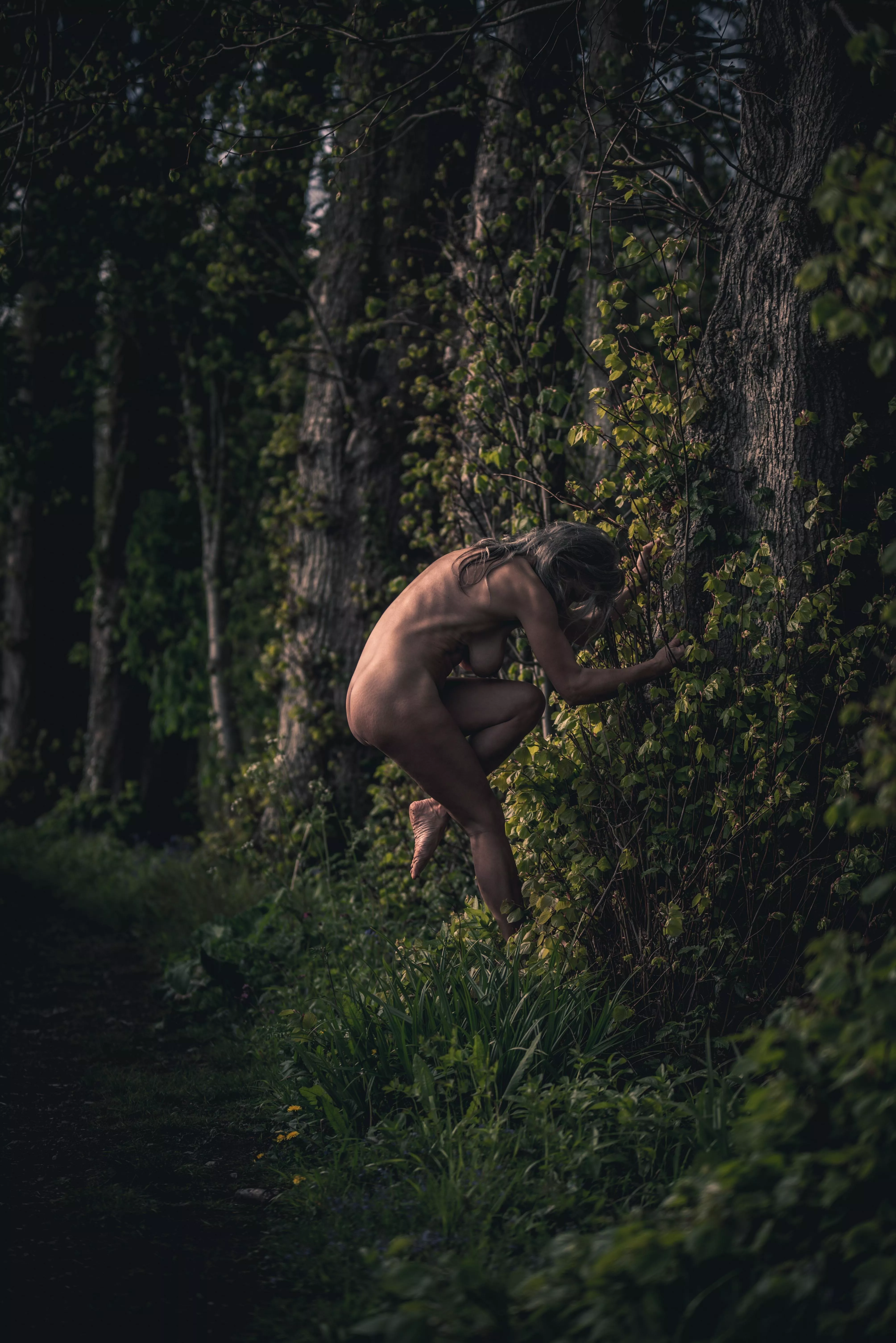 Evening light hugging trees posted by HelenSaunders