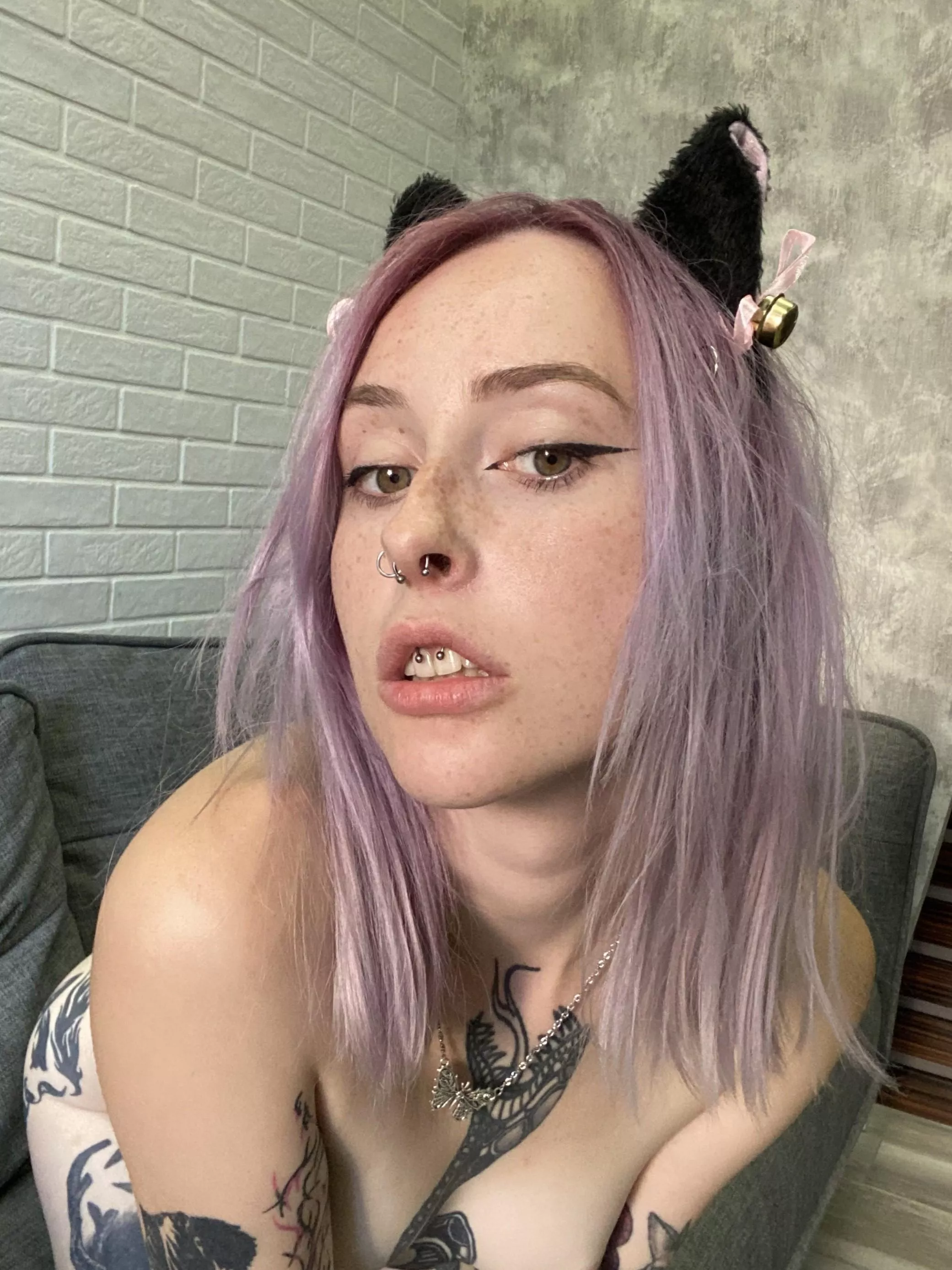 Feeling frisky, want to get cozy? posted by HardReduce679