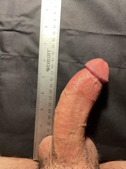 Honest opinions. Is the curve gross? Adequate size? by Emergency_Log_4780