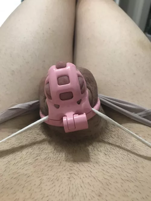 Is this to small? by Possible-Check-7527