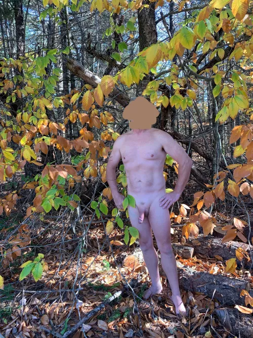 Leaf Peeping by Tough-Revolution-293