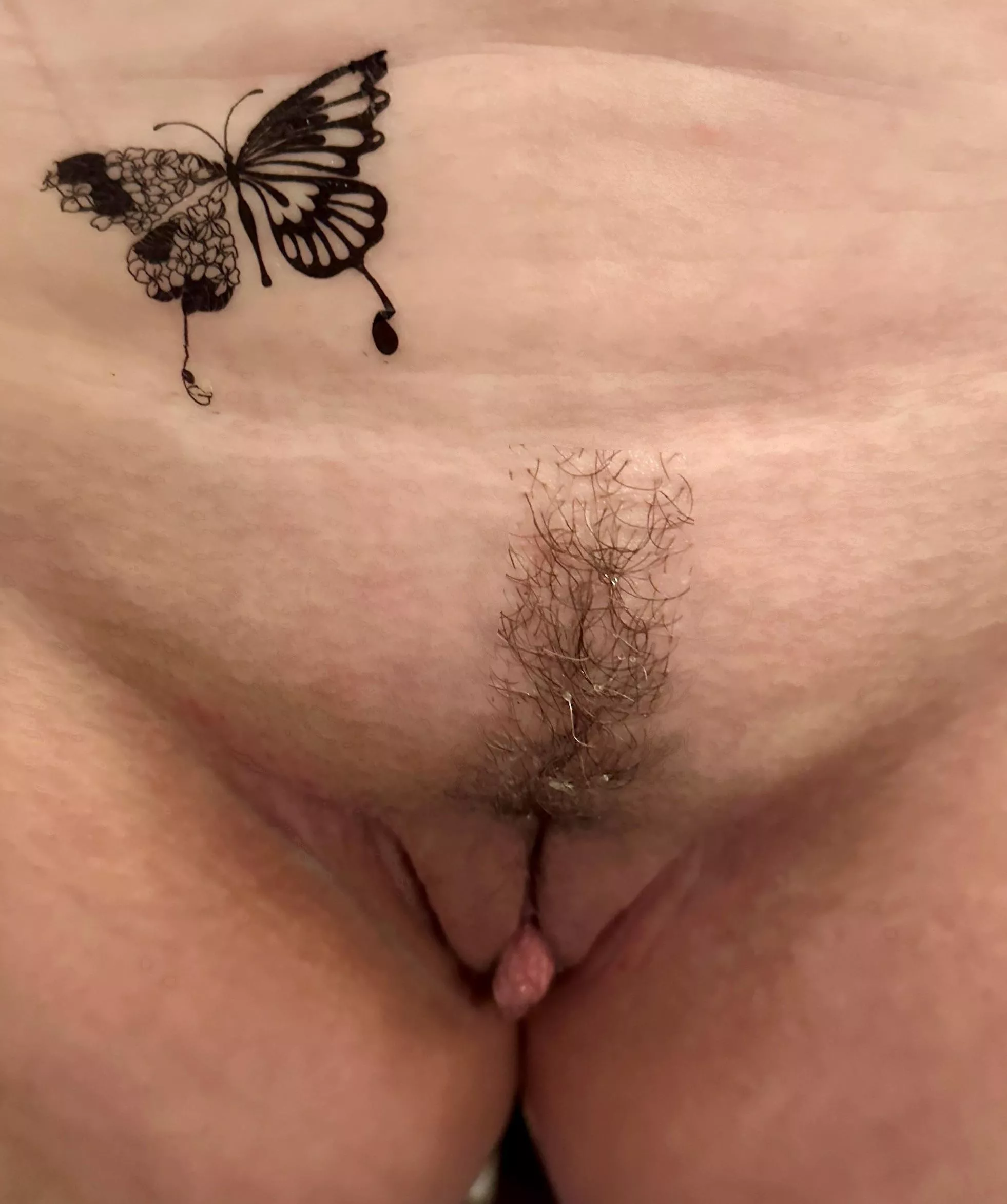 My two little butterflies posted by plutop669