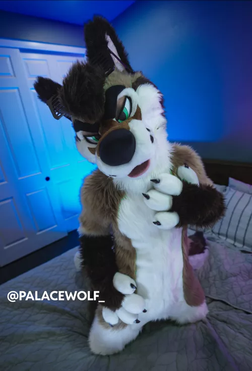 On a scale from 1 to 10, how hard would you snuggle this boy??? by PalaceWolf