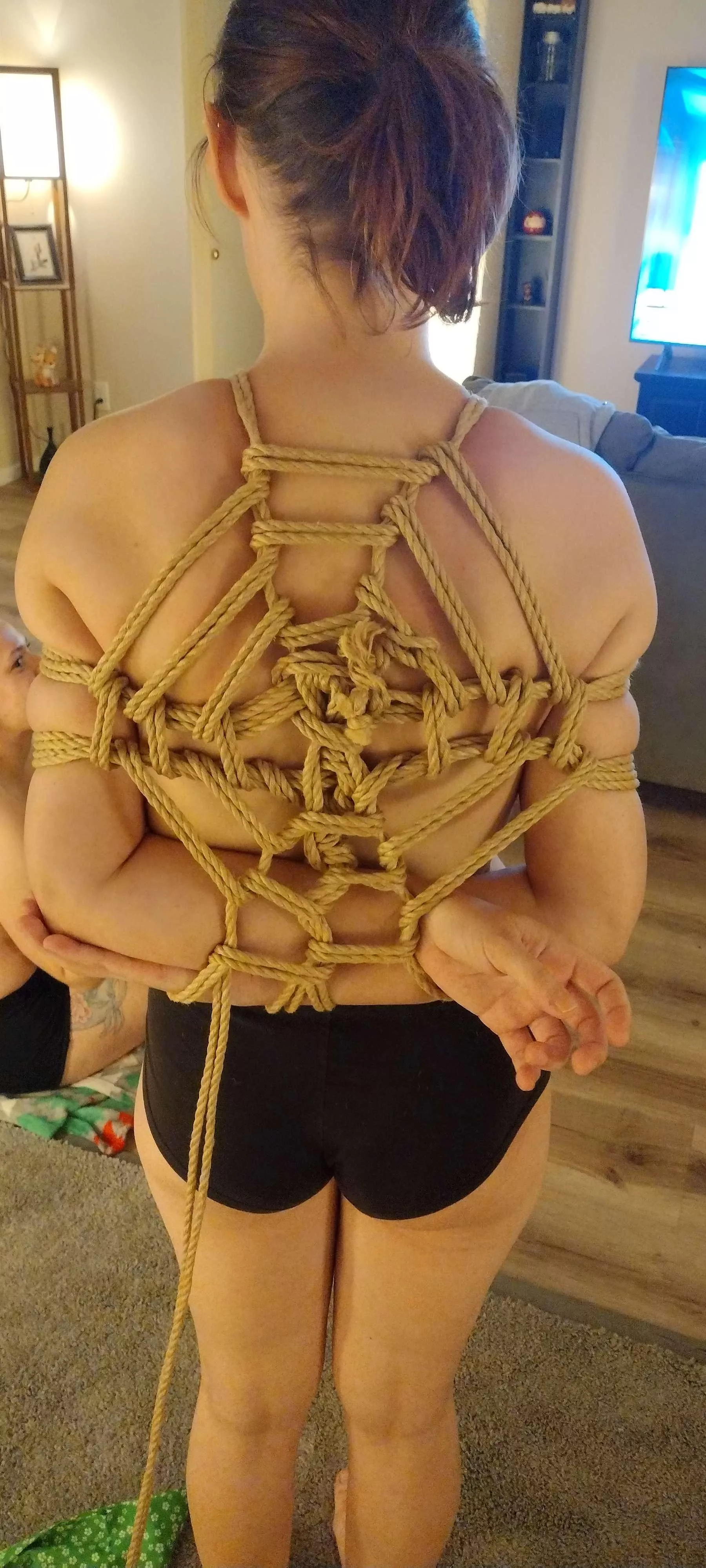 Spiderweb 🕸️ posted by Izzytothedizzy567