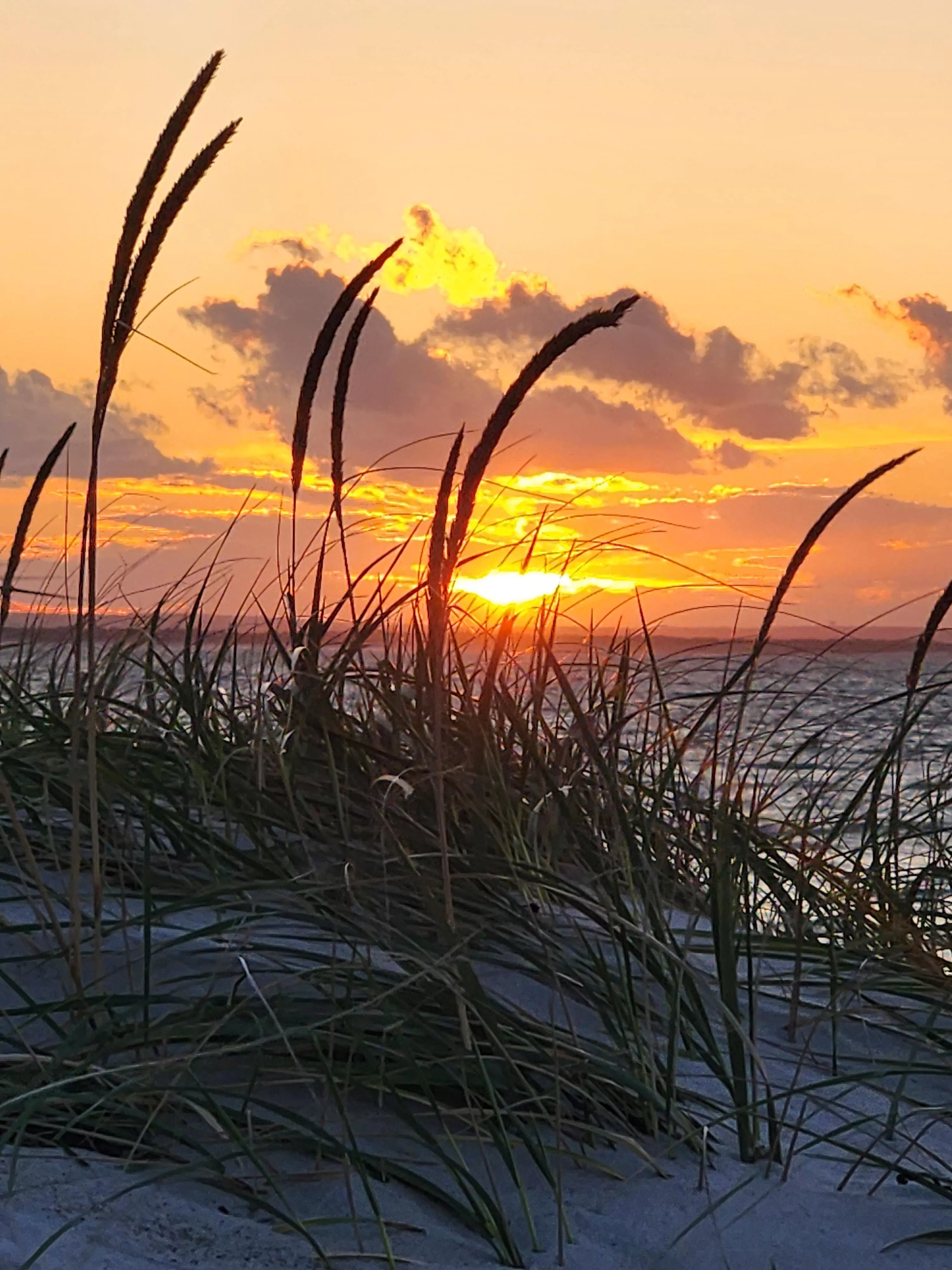 Sunset last night. posted by Intelligent-Cable-43