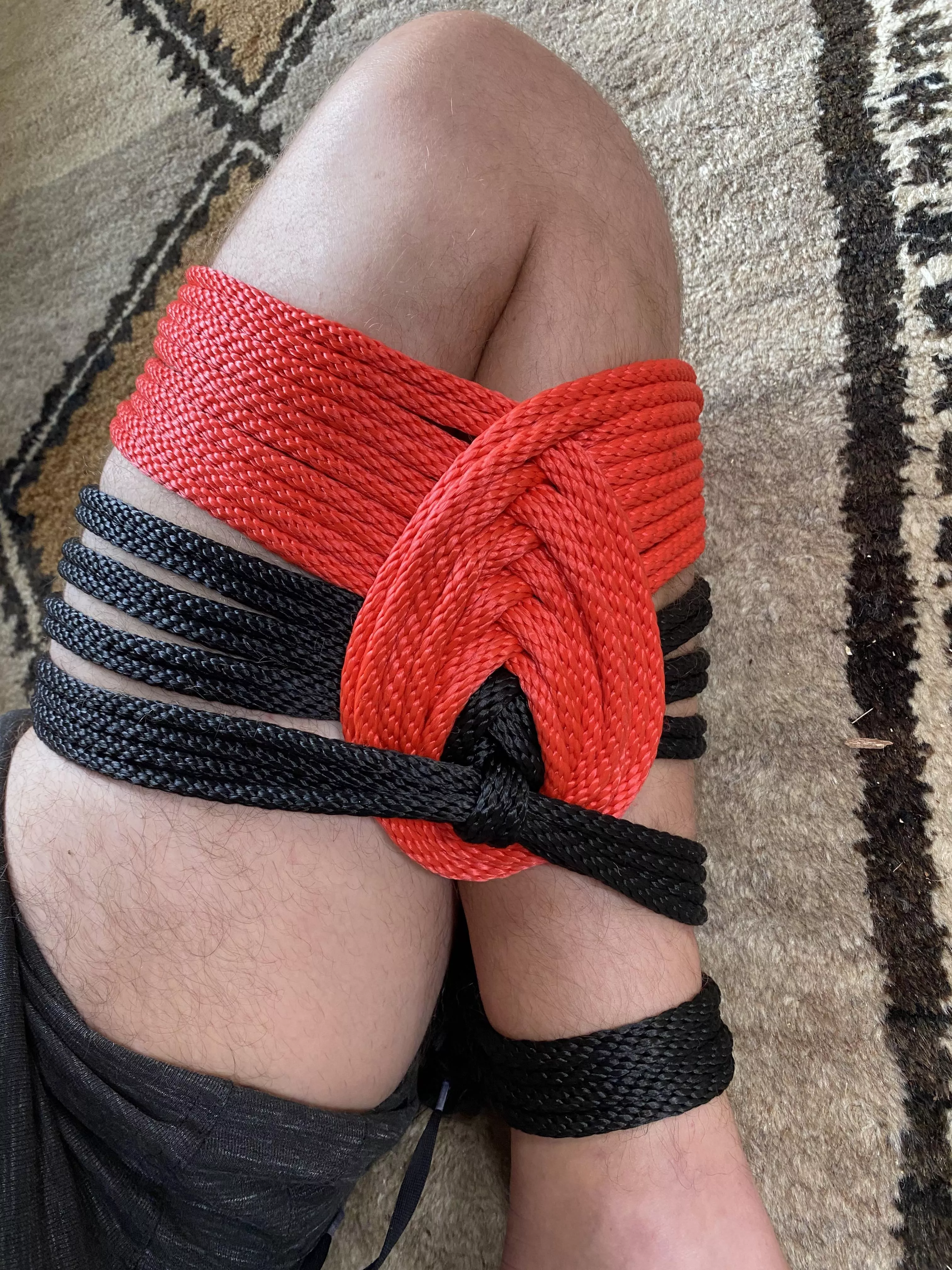 Teardrop Futomomo posted by jtraaamps