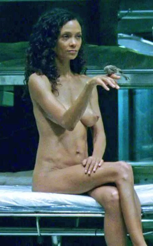 Thandie Newton-Westworld by Reasonable_Inside249