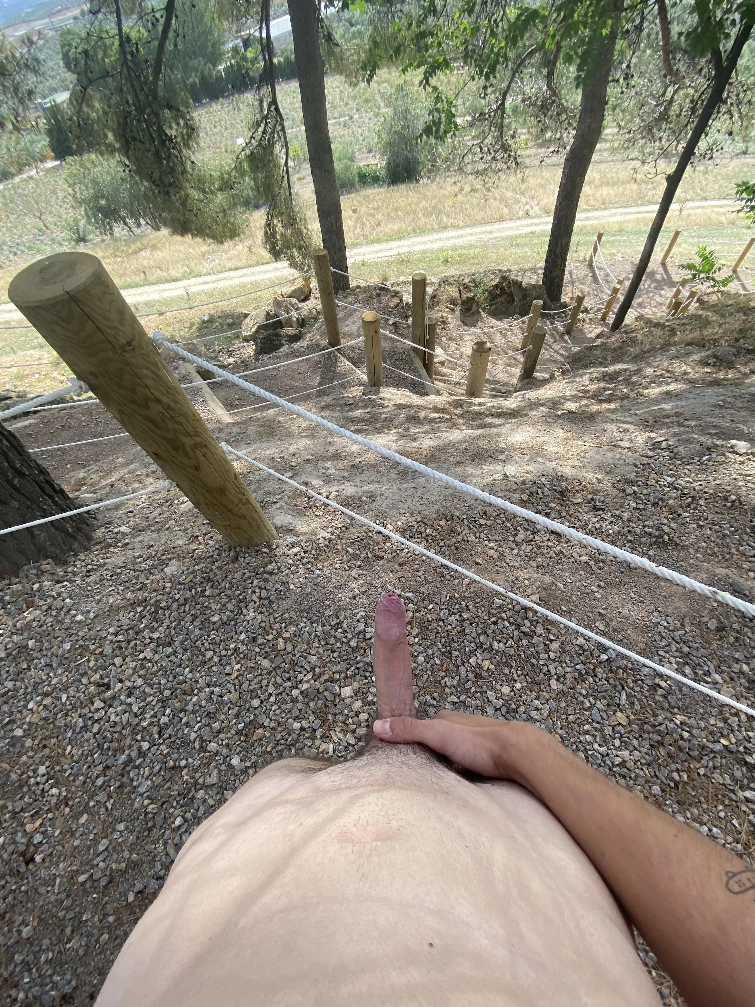 That was a good trail posted by Accomplished-Mode-35