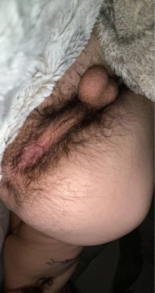 22 - needs some attention by jackbro517