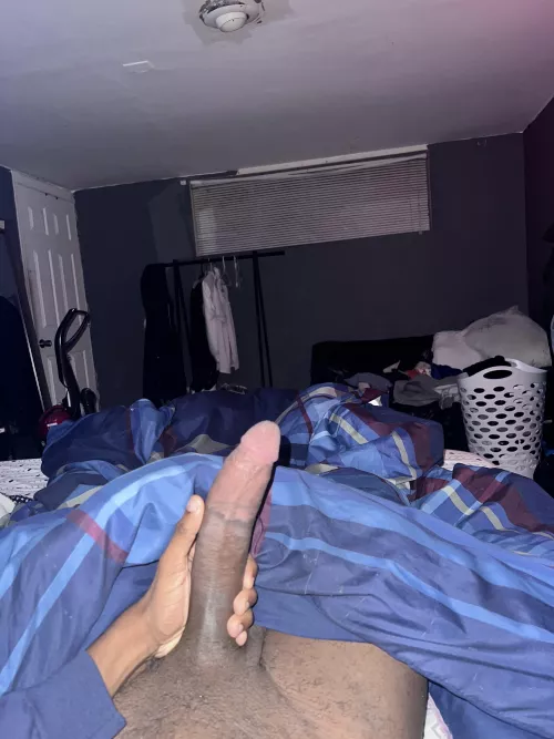 22m looking for hung bros ages22-35 to trade / live with snap jayslade0 by Scorpiosensi