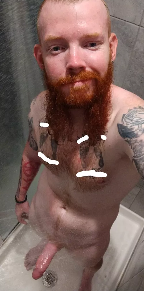 28 Texas Ginger Viking Bull by G1nger_Viking