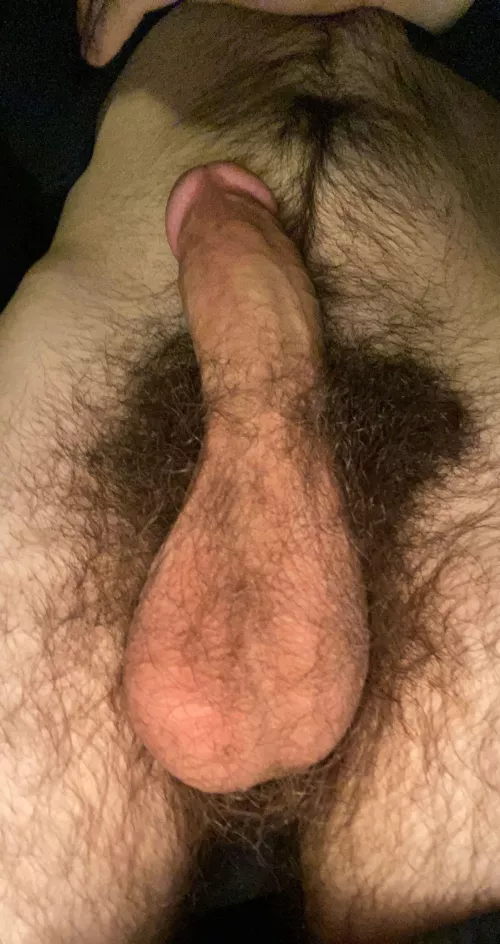 bush is lookin good by nnweir