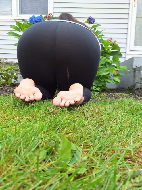 Help me garden? 🌻 by elenastoes98