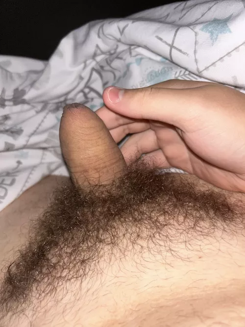 What do you think of my teen softie? by Alfie21171