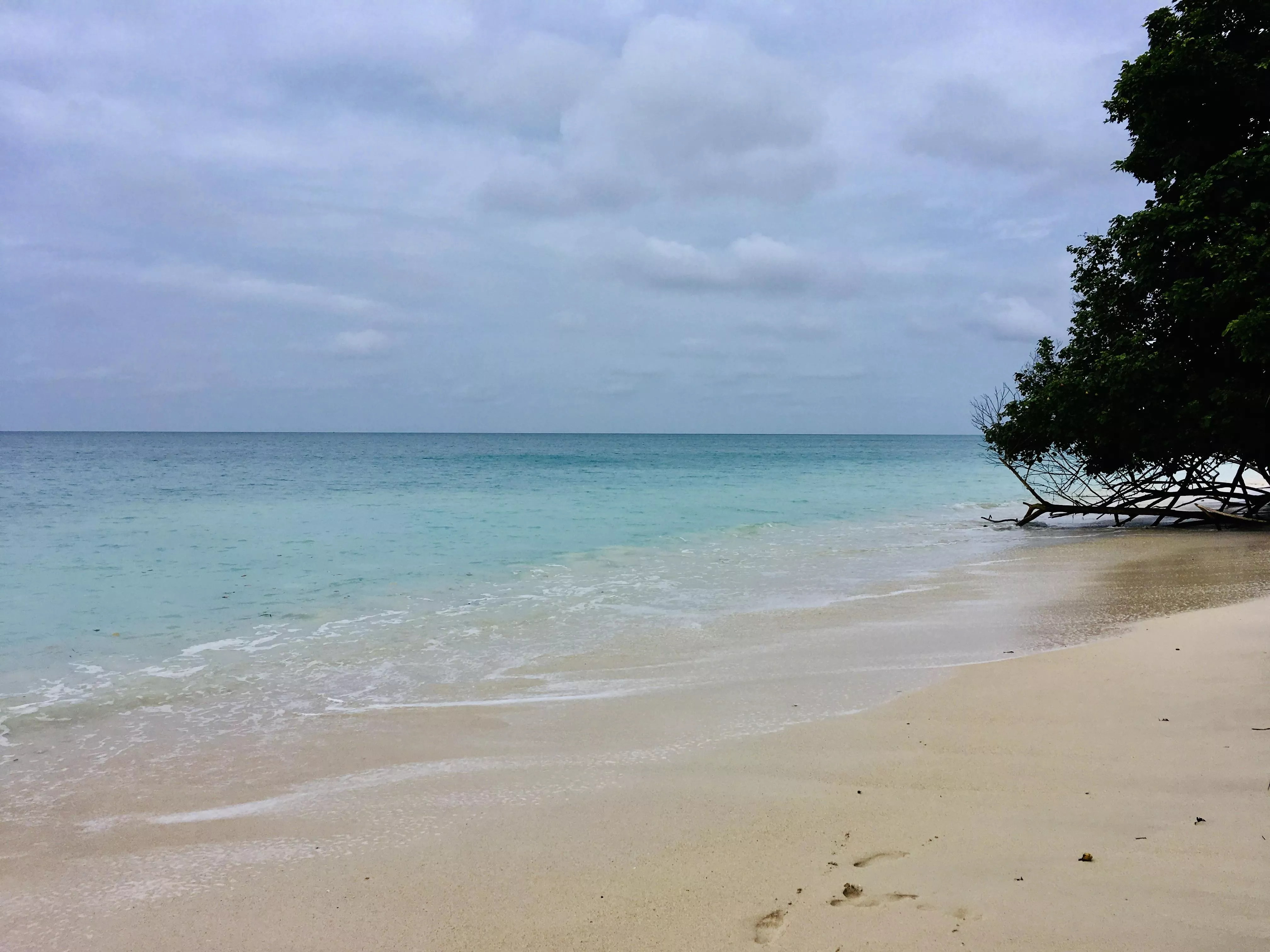 Best thing is there is rarely anyone here. I can have it for myself. posted by Bayleafwatcher