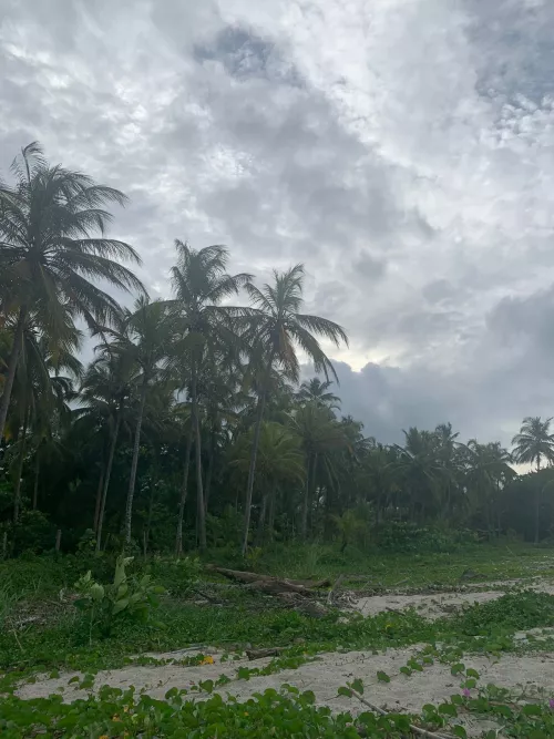 Everyone takes a photo of the sea, but behind it there is another landscape. by Little-Lab-6695