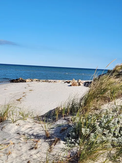 Good morning Cape Cod. by Intelligent-Cable-43