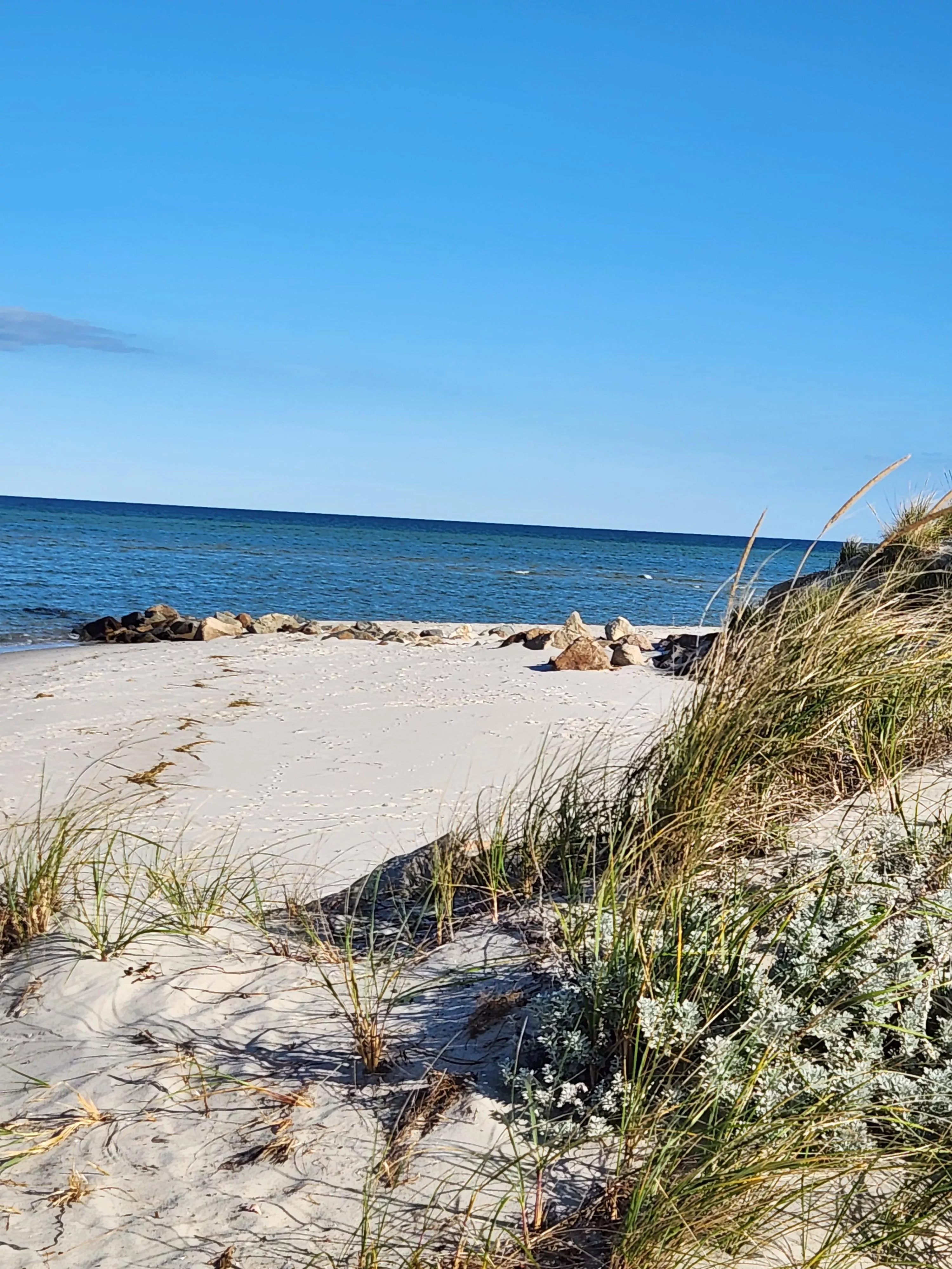 Good morning Cape Cod. posted by Intelligent-Cable-43