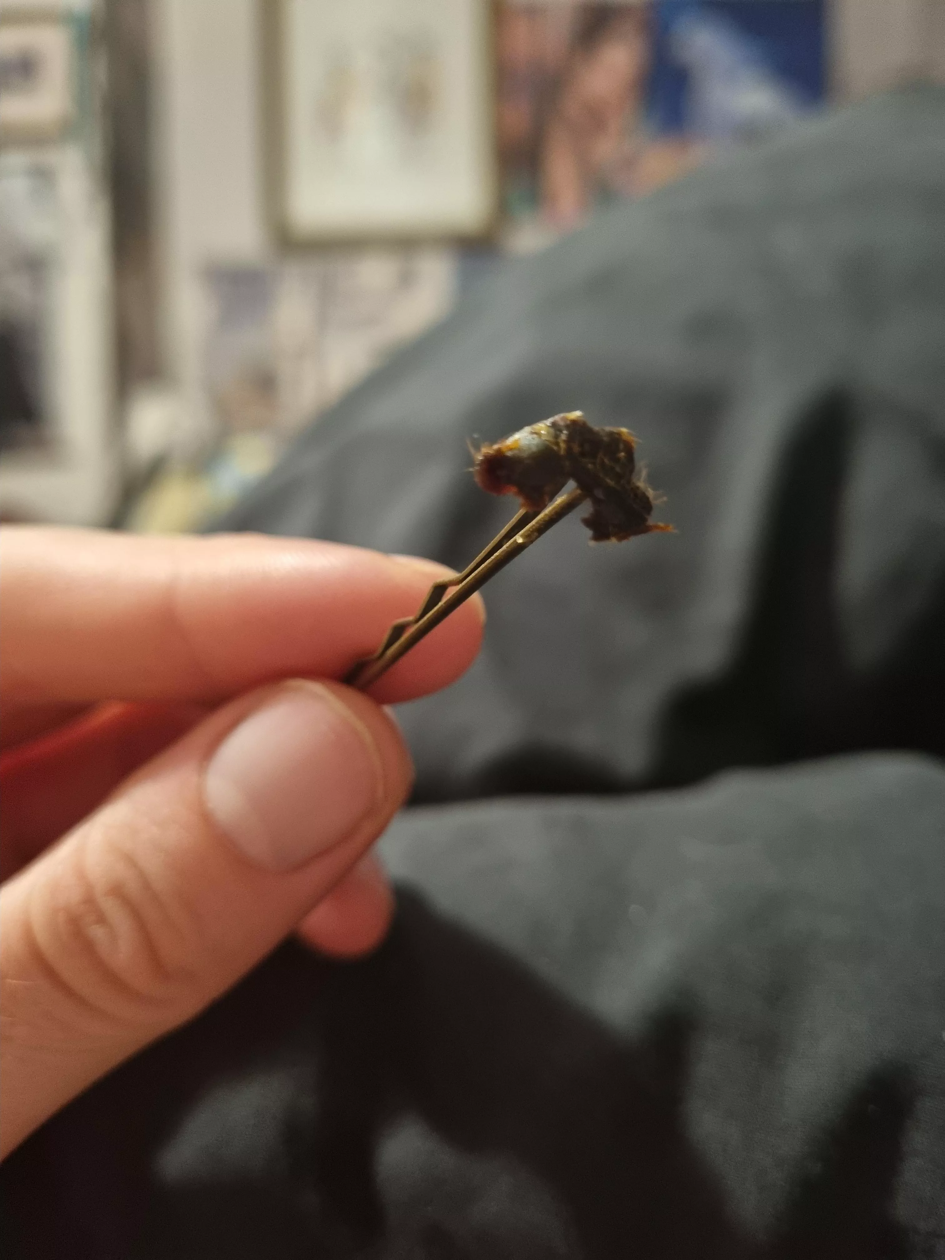 Pulled this from my ear posted by piinkksnow