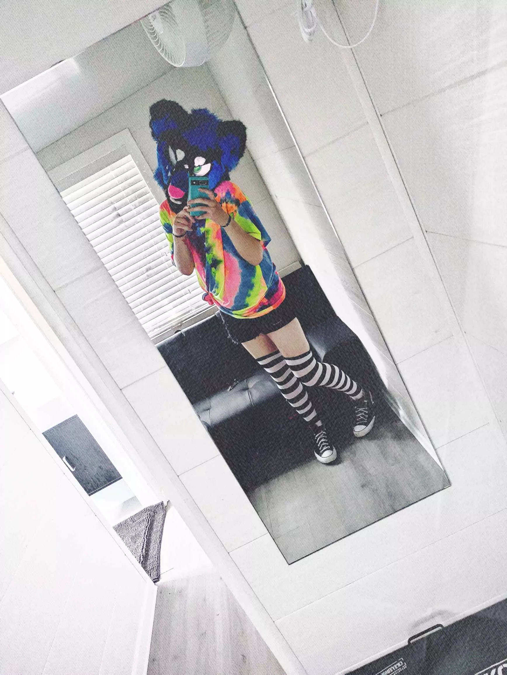 Random fursuit picture I took :S posted by SnakerBone