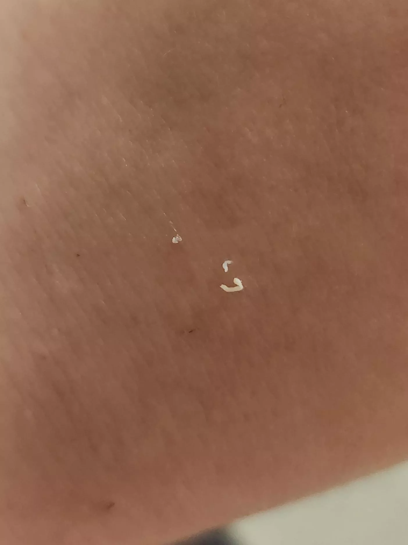 This one made a noise.... posted by Ok_Border_4289