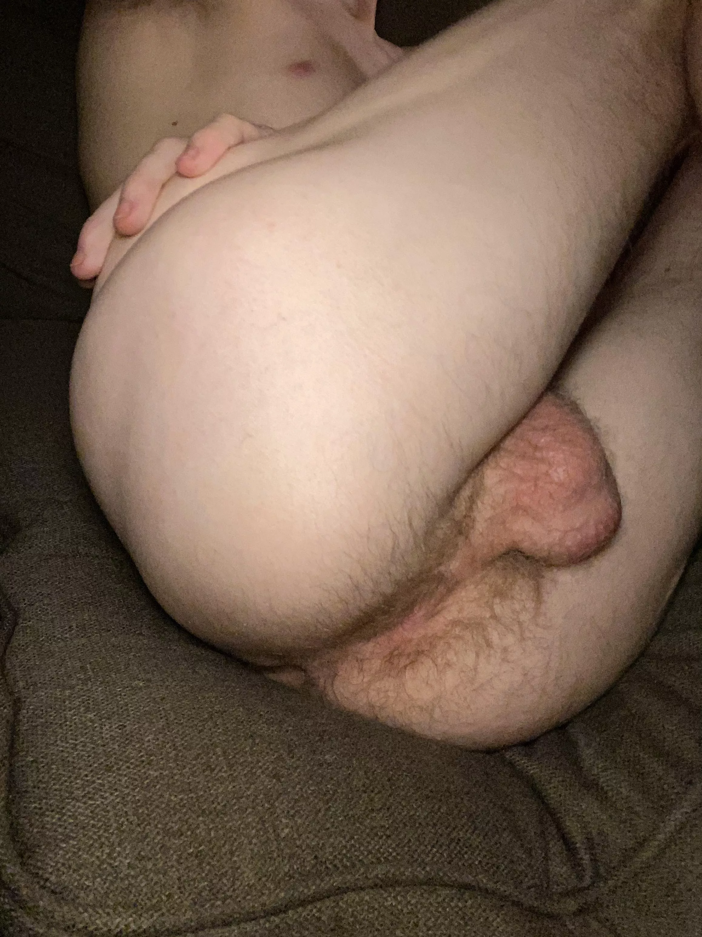 Would you eat this ass? posted by hunghoncho-101